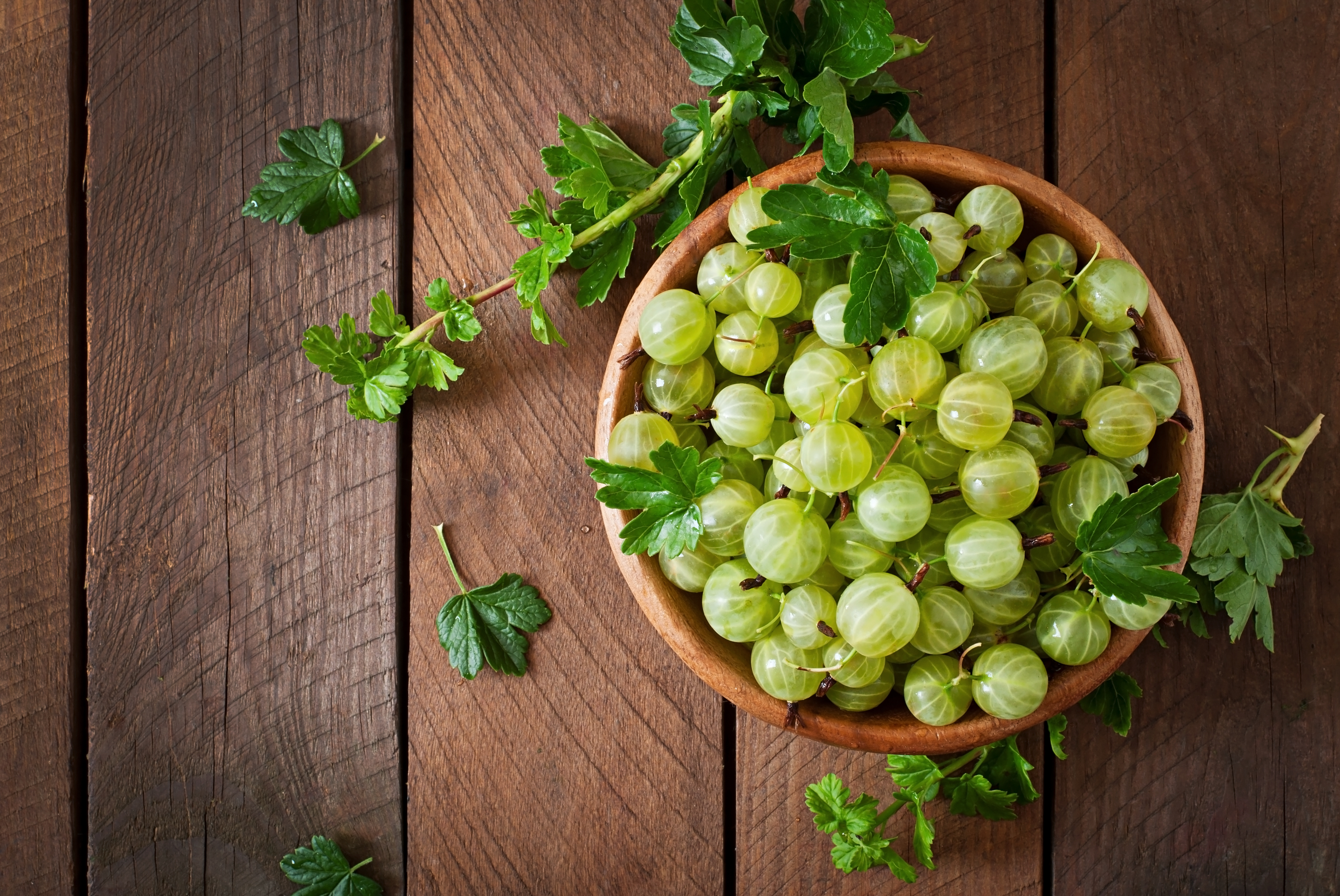Amla 1