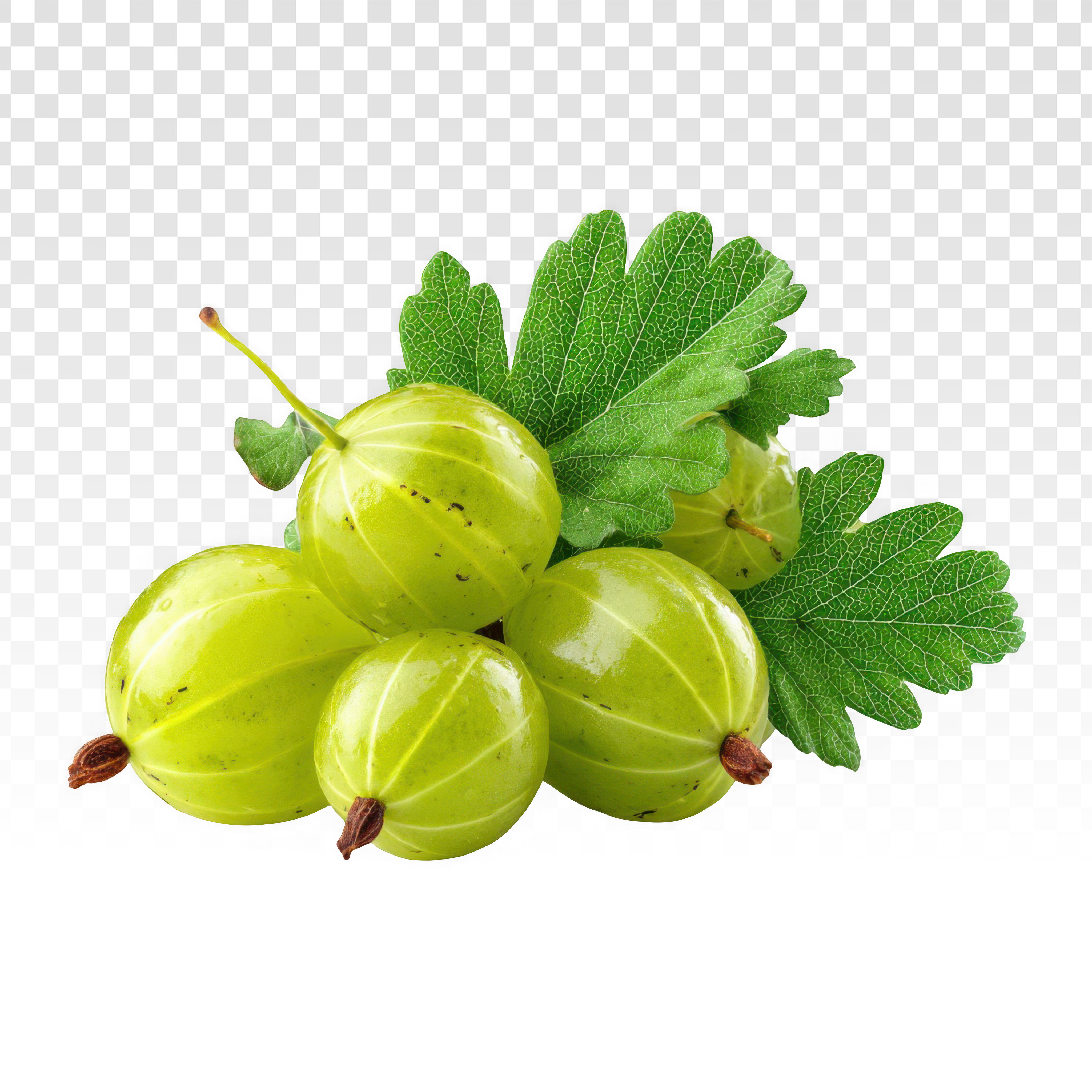 Amla 2